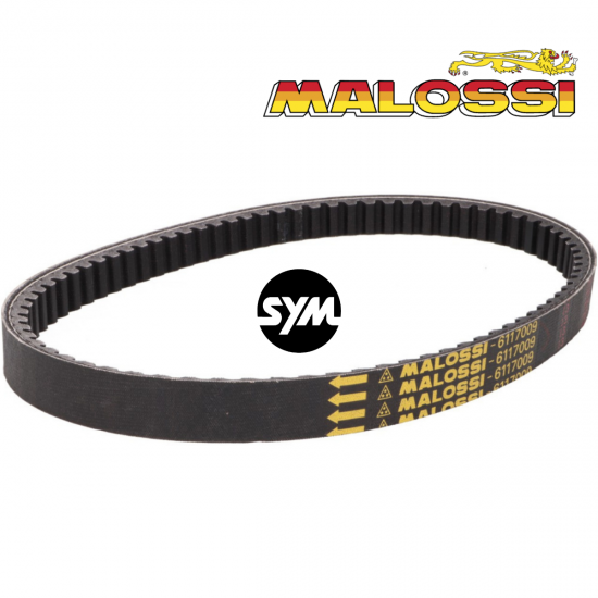 SYM HD 200 Orijinal Malossi Performans Kayış